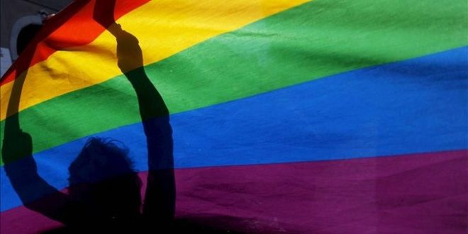 El 13 de enero será socializado el proyecto de caracterización población LGBTI