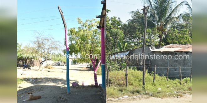 Postes de mangle y redes eléctricas en el sur del barrio San Juan deben ser revisados